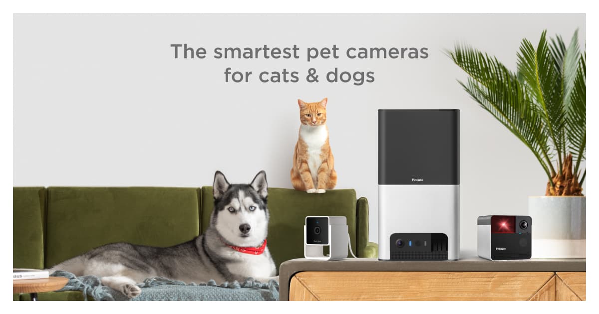 Petcube Bites 2