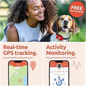 PitPat GPS Tracker